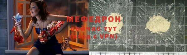 молекула духа Ельня