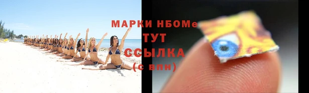 молекула духа Ельня
