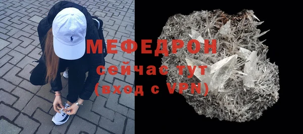 молекула духа Ельня