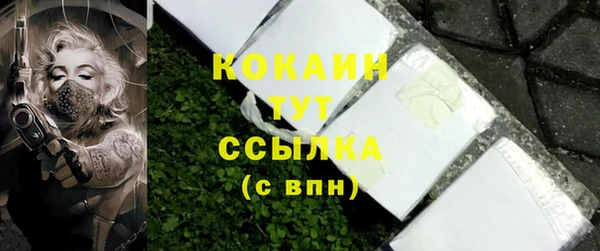 молекула духа Ельня