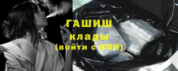 молекула духа Ельня
