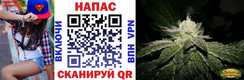 Купить закладки  Зея  Каннабис марихуана 